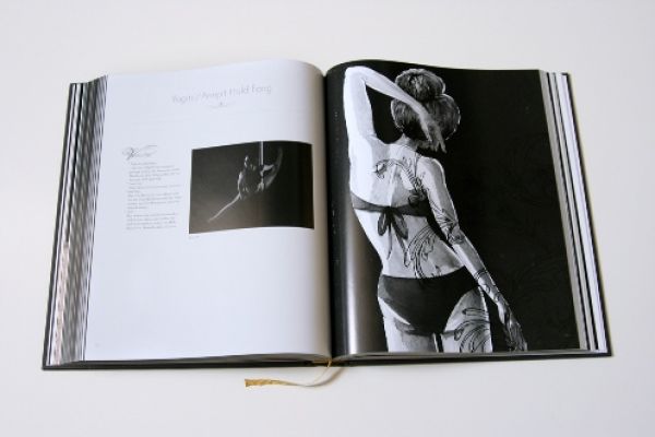 Poledance Passion: The Book about Technique, Training, Passion